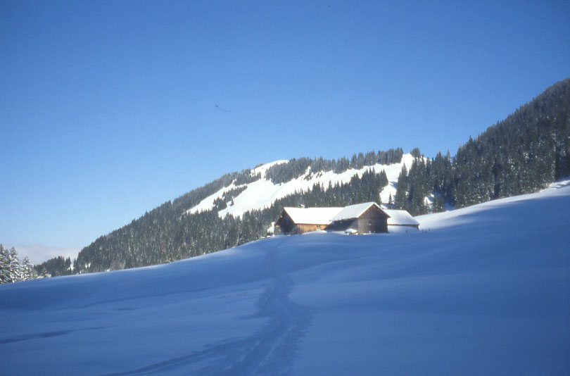 Skitour im Gunzesriedertal