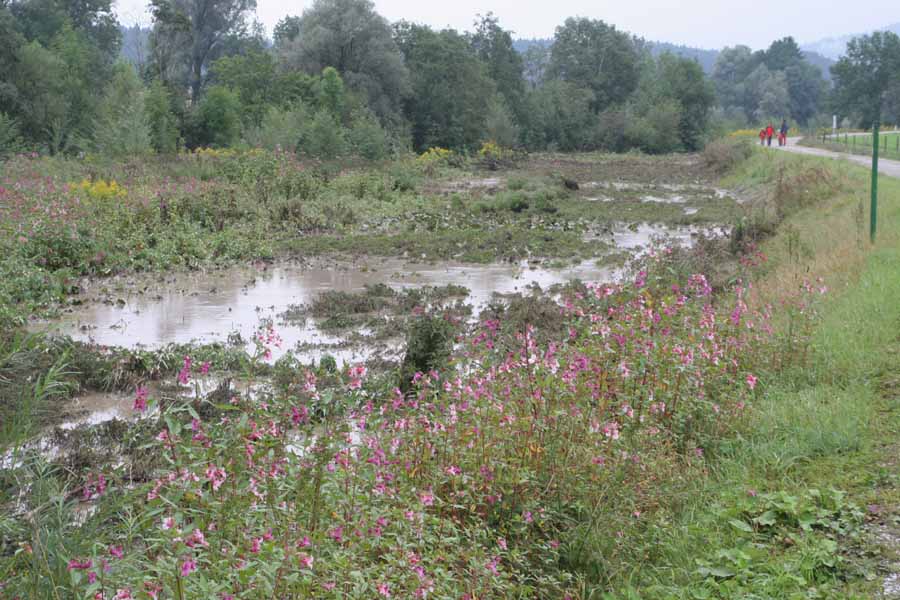 Hochwasser 22. und 23.August 2005 im Allgäu / Hochwasserimpressionen rund um Sulzberg (Oberallgäu)