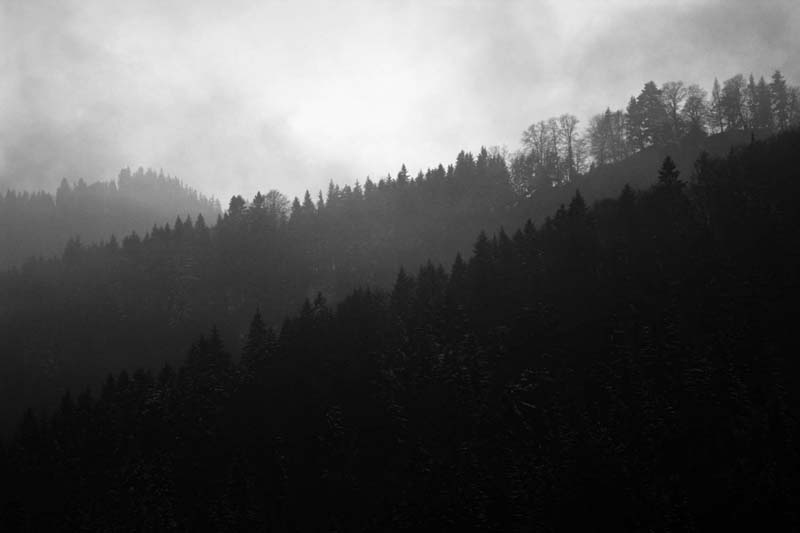IMG_0038 copy