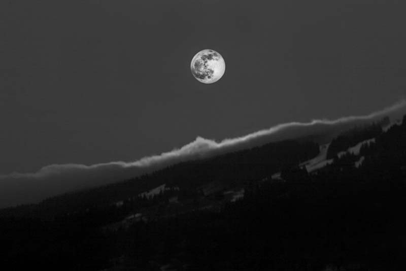 IMG_5538-copy-3
