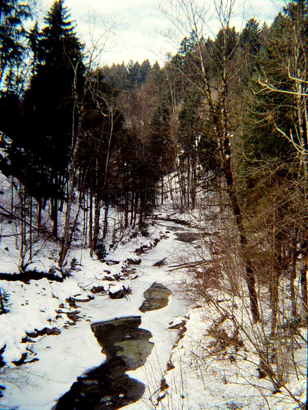 001 Kesselbach_erster Wasserfall 002