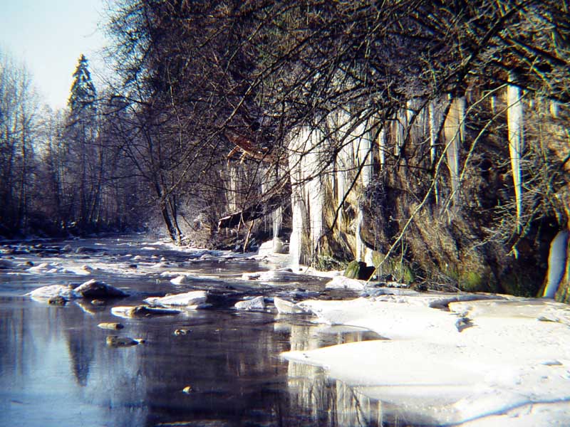 003 Rotenbach muendung in rothach 03