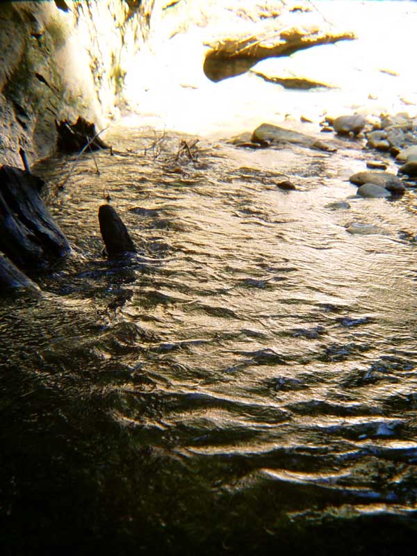 011 Scheffauer Wasserfaelle oberhalb 004