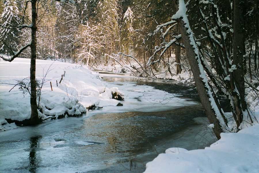 anfang4036_33