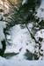 mitte4017_14A