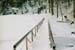 schluss3032_29A
