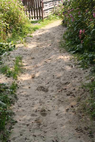 IMG_1086_feinstsans_ablagerungen_auf_dem_weg