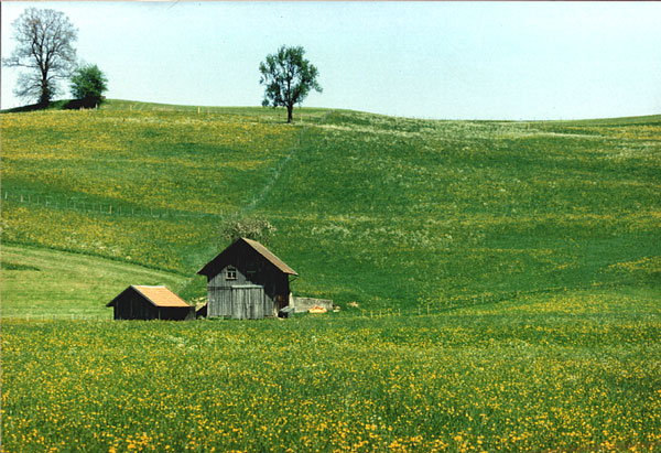 Fruehling_Gestraz