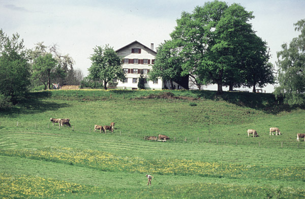 Heimenkirch_Pfaudler_Sommer