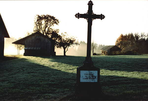 Herbst_Gossholz
