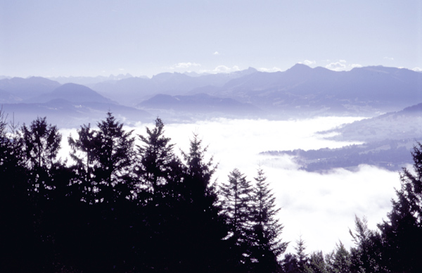 Herbst_Pfaender