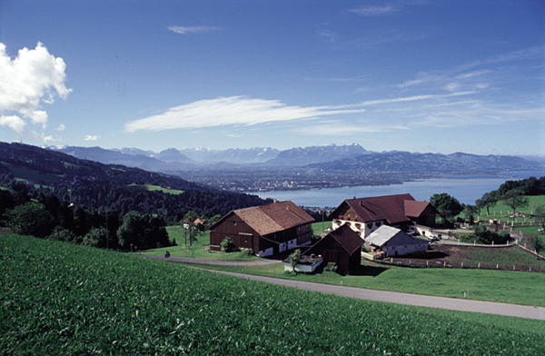 Pfaender_Bodensee