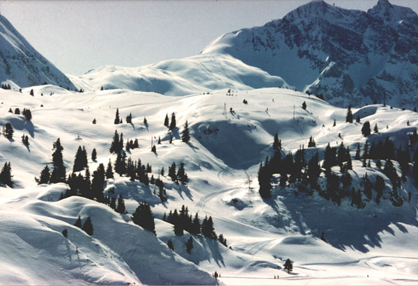 Winter2