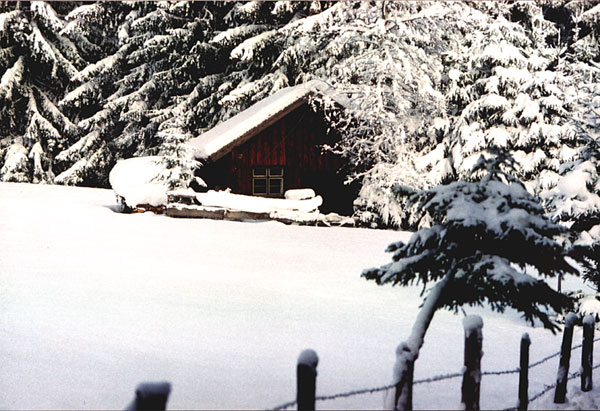 Winter_Gunzesriedertal2