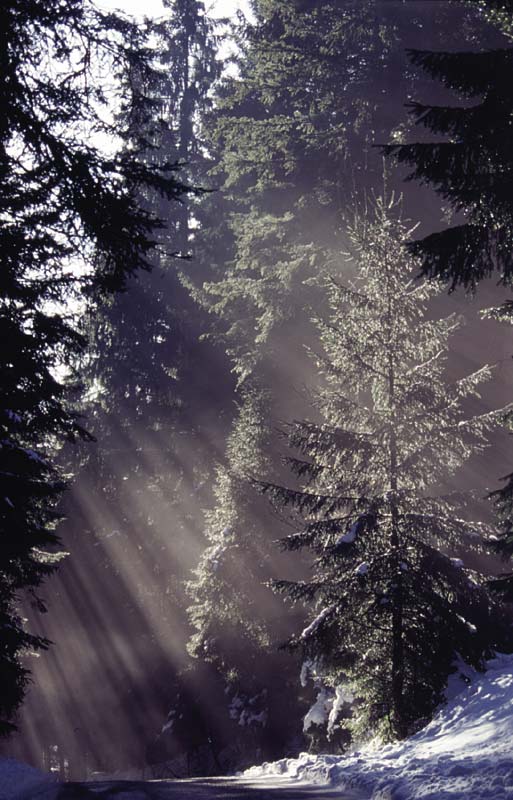 Winter_Licht2