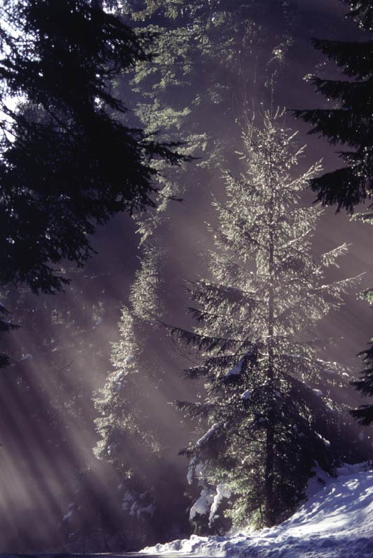 Winter_Licht3