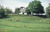 Heimenkirch_Pfaudler_Sommer