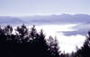 Herbst_Pfaender