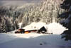 Winter_Gunzesriedertal1