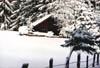 Winter_Gunzesriedertal2