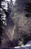 Winter_Licht2