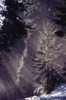 Winter_Licht3