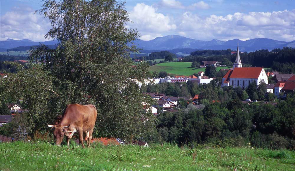 dieses Foto ist am 25. Mai 2002 geschossen worden