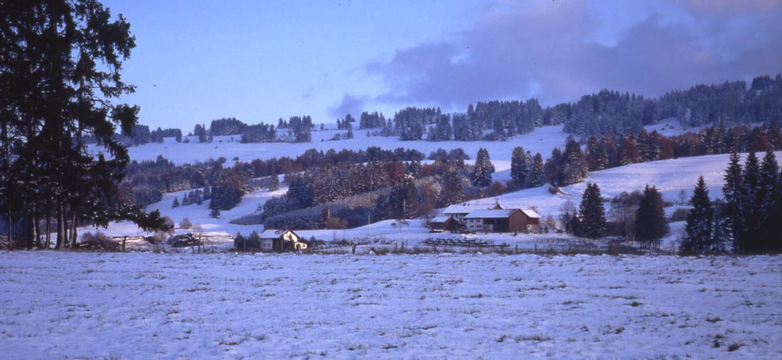 Rottachsee (Allgäu) / letzte Abendsonne in Gschwend