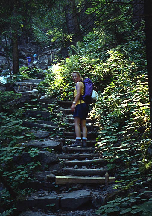 Rubihorn / gut befestigter Weg zur Gaisalpe