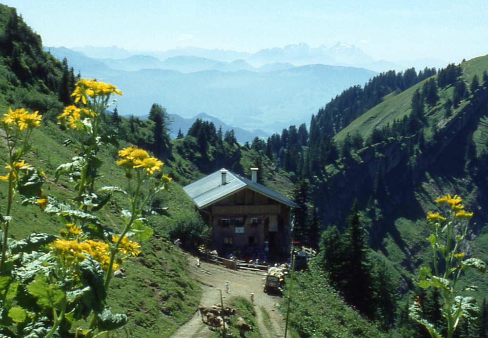 Sommer im Allgäu / Staufner Haus am Hochgrat