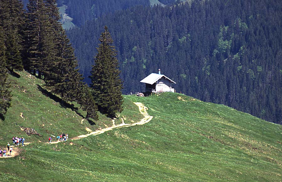 Sommer im Allgäu / im NSG Grosser Daumen