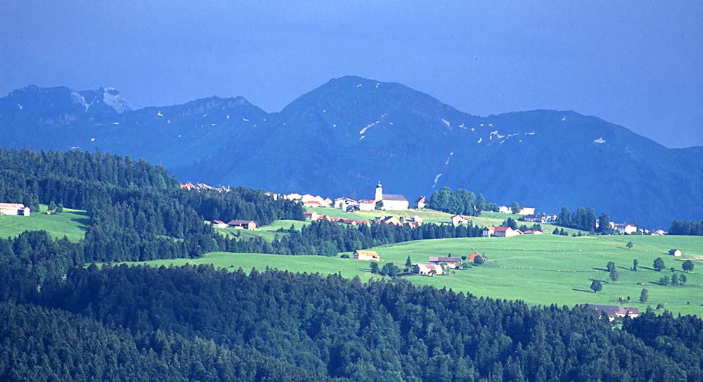 Sommer im Allgäu / Sulzberg (A) von Scheidegg aus nach einem Gewitter