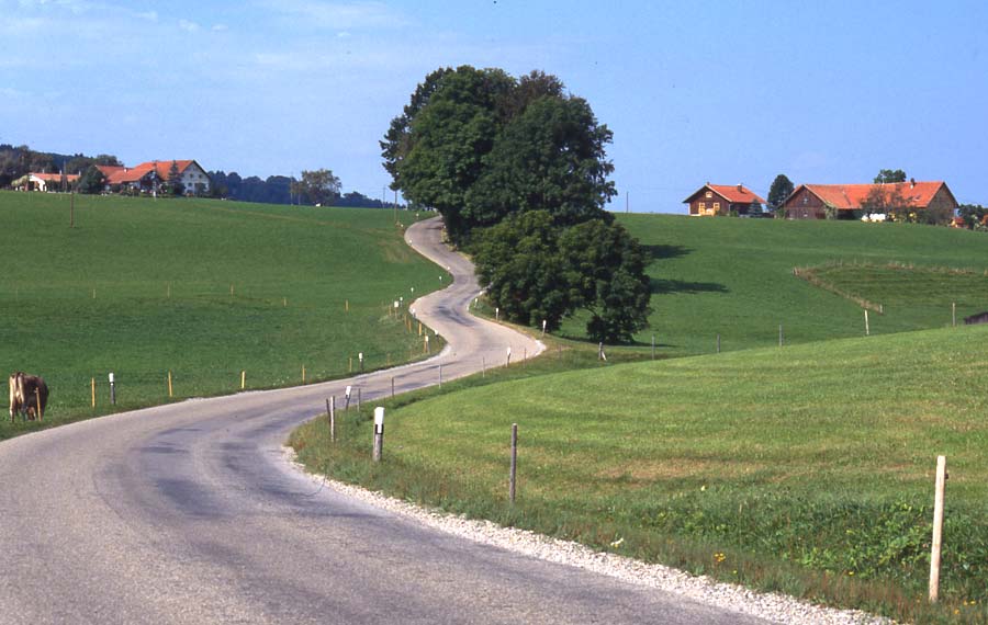 Sommer im Allgäu / ein typischer Strassenverlauf