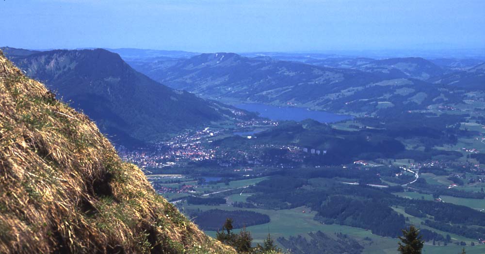 Sommer im Allgäu / Blick vom Grünten auf den Alpsee und Immenstadt