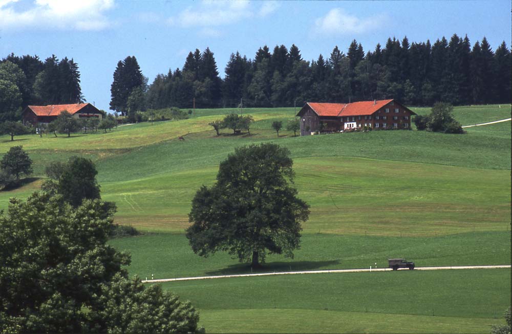 Sommer im Allgäu / Unterhalb der Talsperre Rottachsee