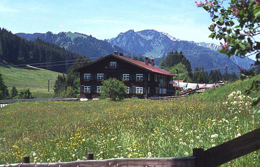 Sommer im Allgäu / im Gunzesrieder Tal