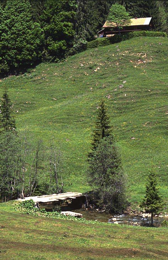 Sommer im Allgäu / im Gunzesrieder Tal