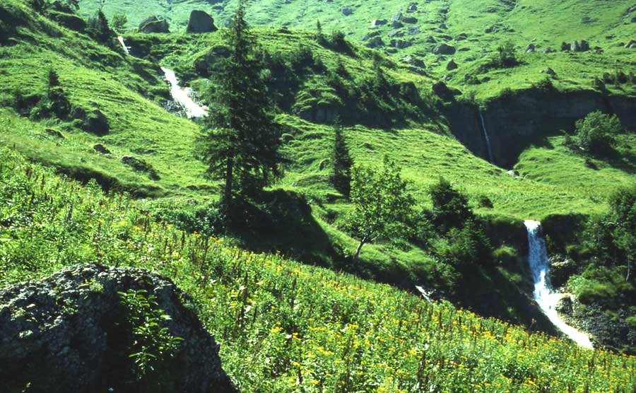 Wasser im Allgäu / Wasserfall herab zur Brunnennau (Hochgrat)