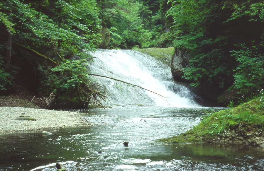 Wasser im Allgäu / Im Eistobel