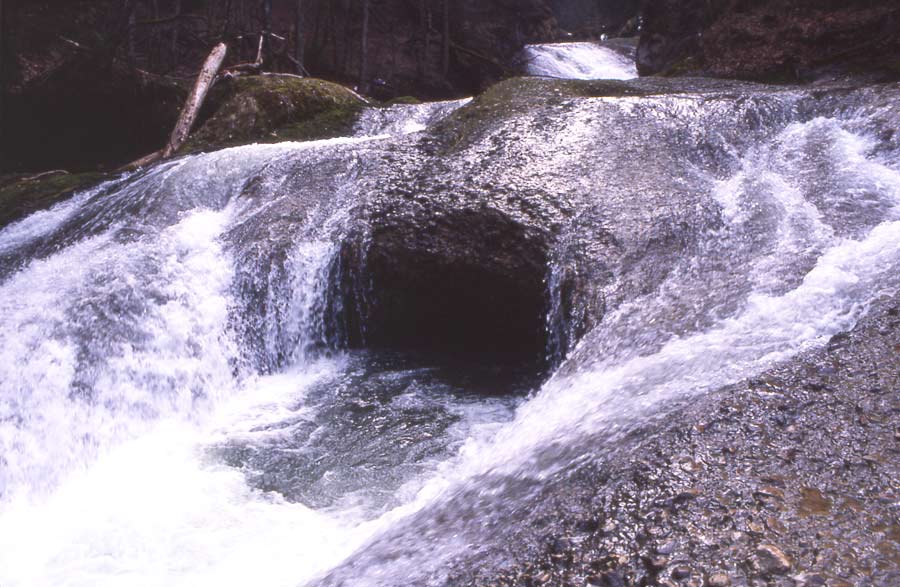 Wasser im Allgäu / Im Eistobel