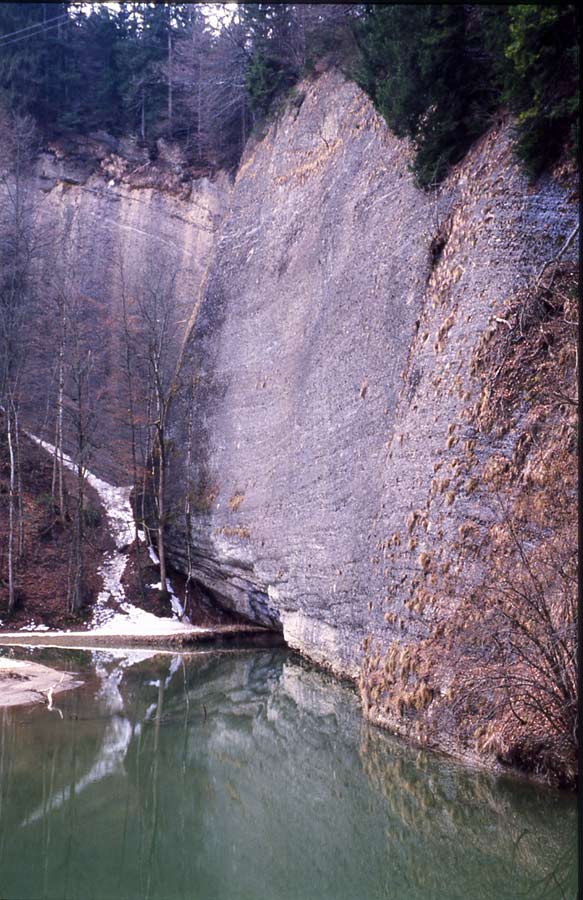 Wasser im Allgäu / Im Eistobel