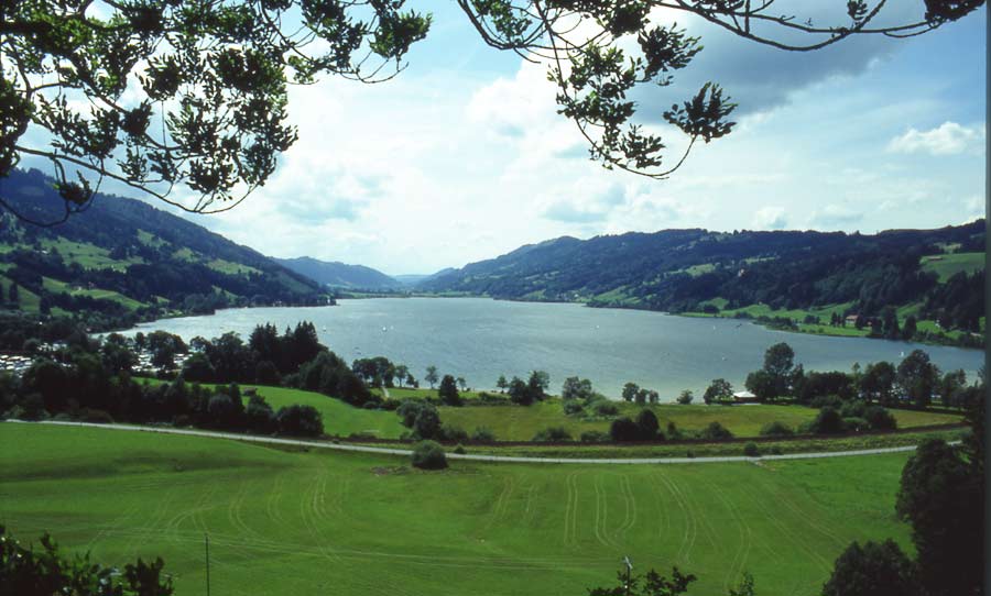 Wasser im Allgäu / Der Grosse Alpsee