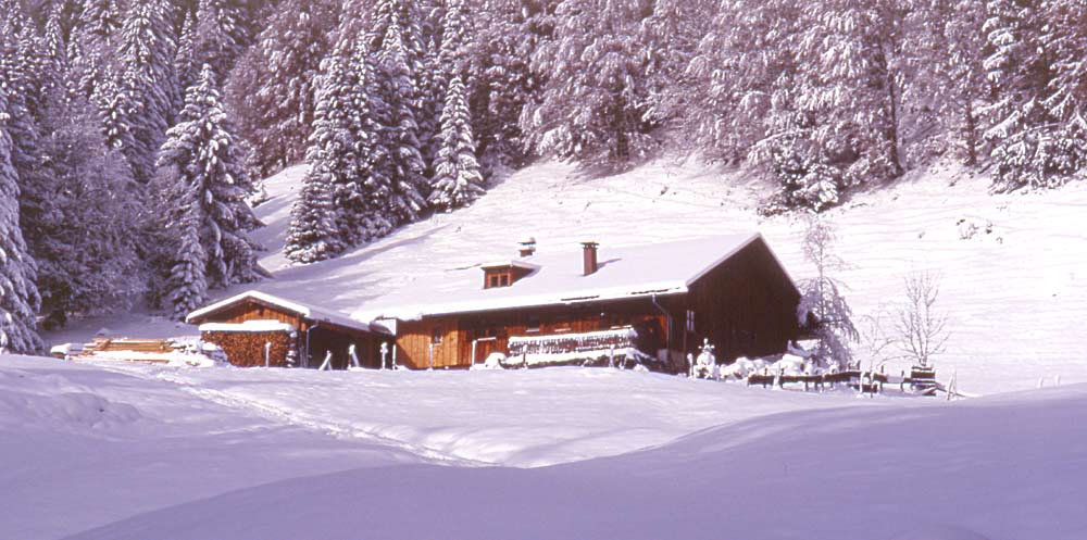Winter im Allgäu / Alpe auf dem Weg zum Gunzesrieder Tal