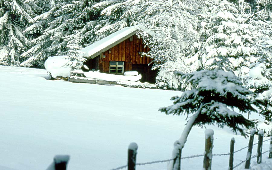 Winter im Allgäu / Gunzesrieder Tal
