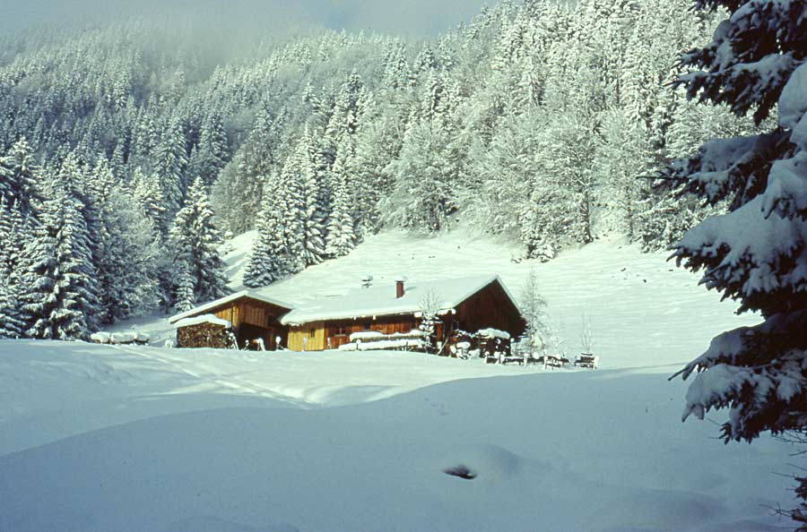 Winter im Allgäu / zwischen Ettensberg und Gunzesried (Angerhölzer)