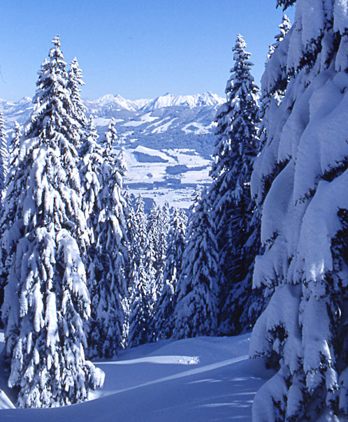 Winter im Allgäu / im Hörnerbahn Skigebiet