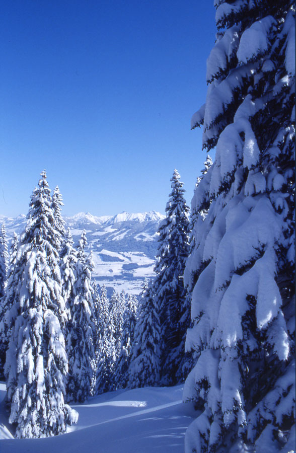 Winter im Allgäu / im Hörnerbahn Skigebiet