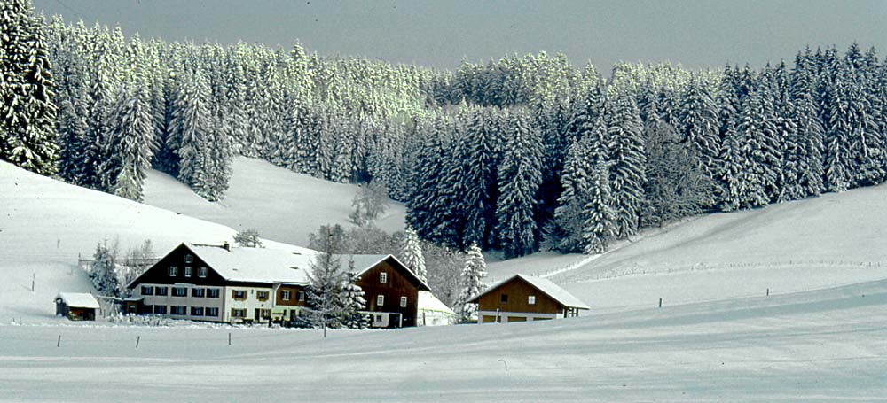 Winter im Allgäu / zwischen Sibratshofen und Missen-Wilhams