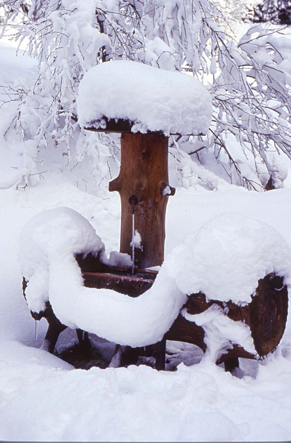 Winter im Allgäu / Sigiswang