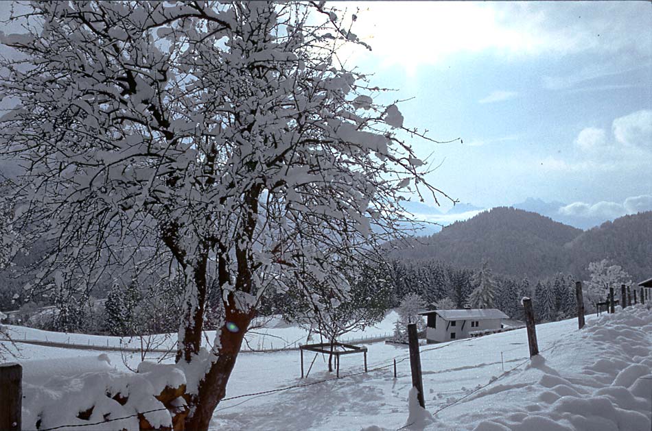 Winter im Allgäu / Bolsterlang